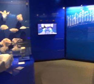 Niedersächsisches Landesmuseum