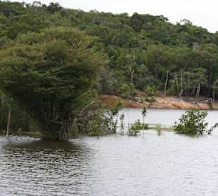 Odnoga Rio Negro