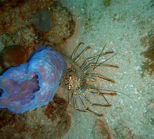Wasserwelt Sosua