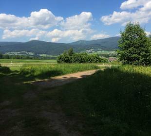 Aussicht am Abschlag 10