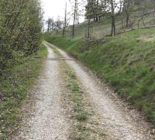 Ruine Niedergundelfingen