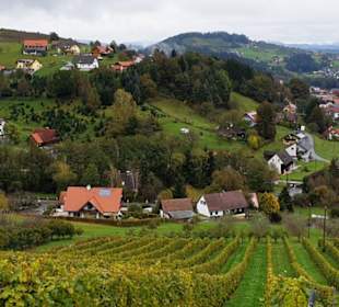 Blick in die Weinberge