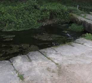 Gartenschau