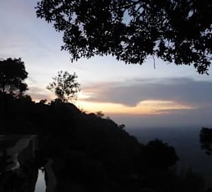 Sunrise
