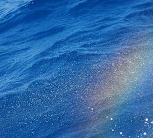 Tour & Ausflug Kardamena