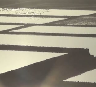 Salinas de Janubio