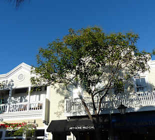 Entlang der Duval Street