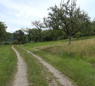 Premiumspazierweg Früchtetrauf-Leisawegle