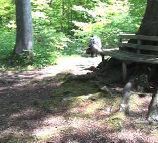 Rundwanderweg - Ottos Ruh