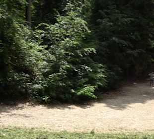 Schutzgebiet Spitzberg, Pfaffenberg