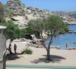 Strand