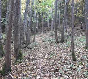 Geschichtslehrpfad Streichen