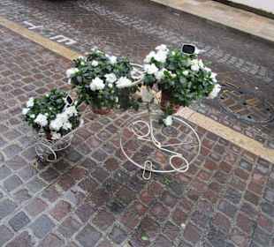 Kathedrale Saint Pierre et Saint Paul