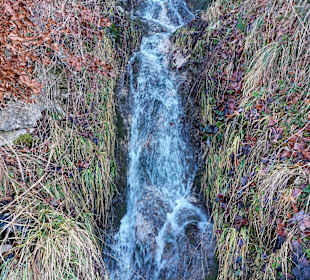 Wandern Sankt Wolfgang im Salzkammergut