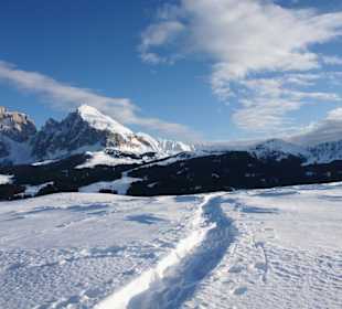 Lang- und Plattkofel