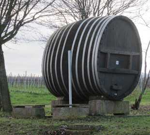 Weinlehrpfad Edenkoben