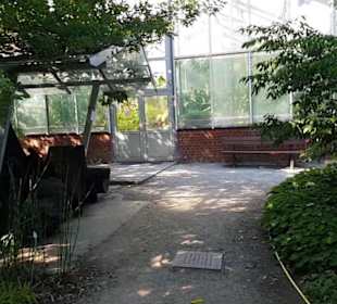 Botanischer Garten