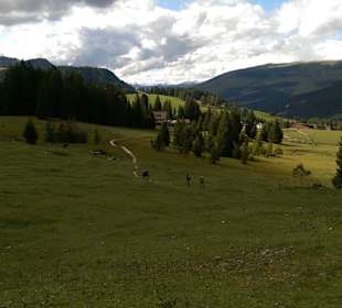 Wandern Santa Cristina Valgardena