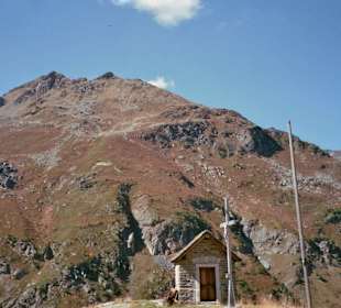 Holustei