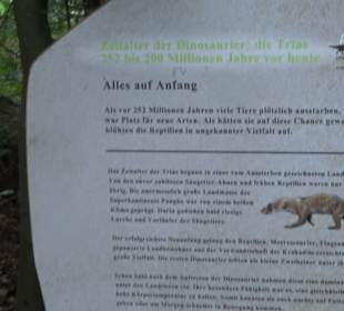 Dinosaurier Museum Altmühltal