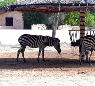 Al Areen Wildlife Park