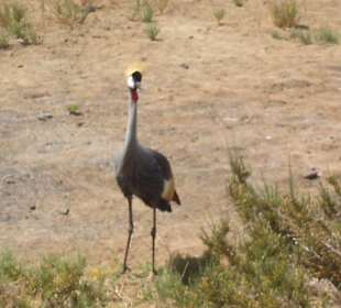 Was für ein Schreck 