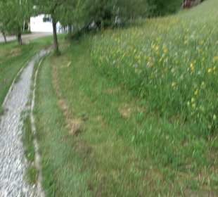 Barfußpfad Tieringen