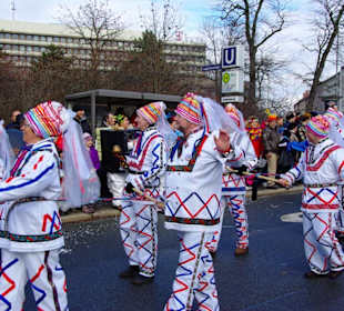 Nürnberger Faschingsumzug 2012