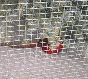 Tierpark Bad Schönborn