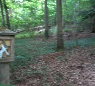 Kreuzweg zum Tannenrain