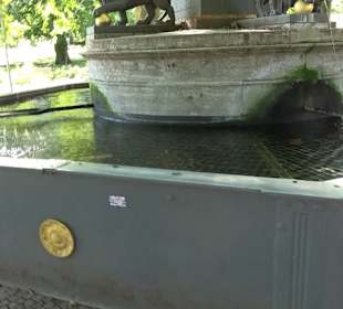 Löwenbrunnen im Akademiegarten