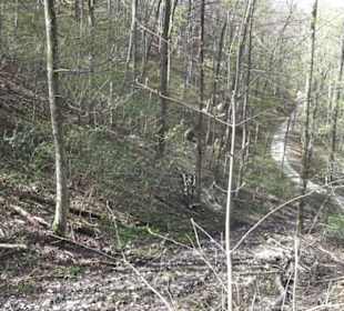 Wanderweg Hochgehkämpft