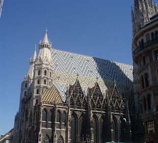 Der Stephansdom