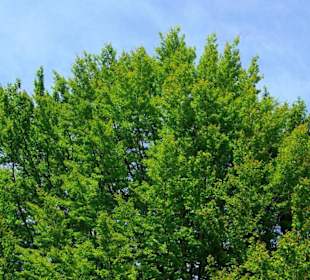 Wanderung zum Bärenfels