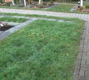 Friedhof Glems