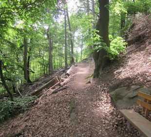 Auf dem Weg zum Hilschweiher