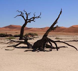 Death Vlei