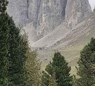 Wandern Selva di Val Gardena