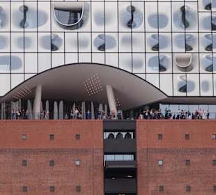 Wir werden genau betrachtet, von den Gästen Elbphi