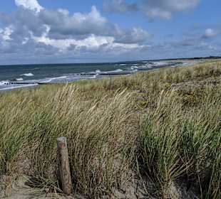 Strand Ahrenshoop