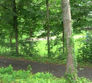 Freibad Schiltach/Schenkenzell