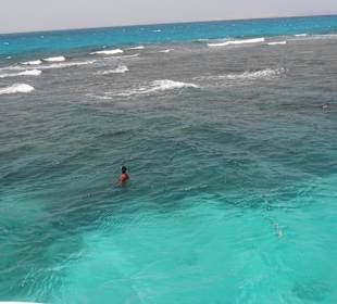 Schnorcheltour im Roten Meer