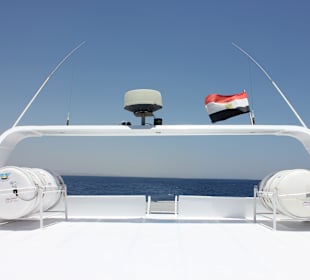 Sea Star 2