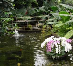 Raffeiner Orchideenwelt