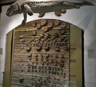 In der Abteilung für Erdgeschichte