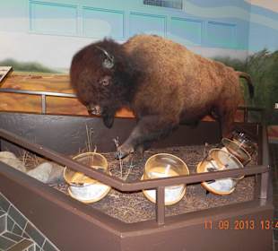 Ausstellung im Visitencenter