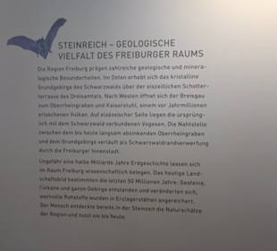 Museum Natur und Mensch