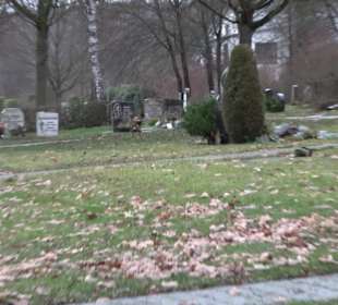Friedhof Mittelstadt