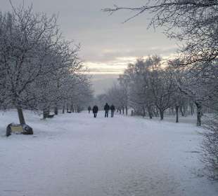 Steinhofgründe im Winter