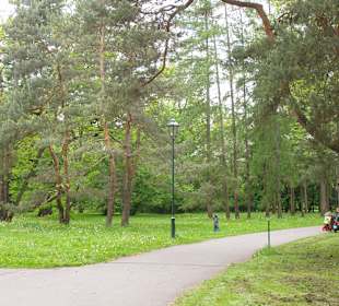 Park im. Henryka Jordana